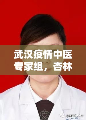 武汉疫情中医专家组，杏林春暖济苍生