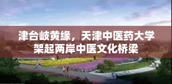 津台岐黄缘，天津中医药大学架起两岸中医文化桥梁