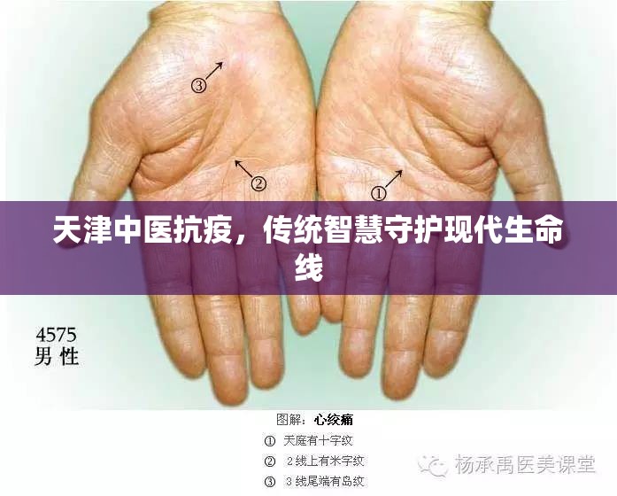 天津中医抗疫，传统智慧守护现代生命线