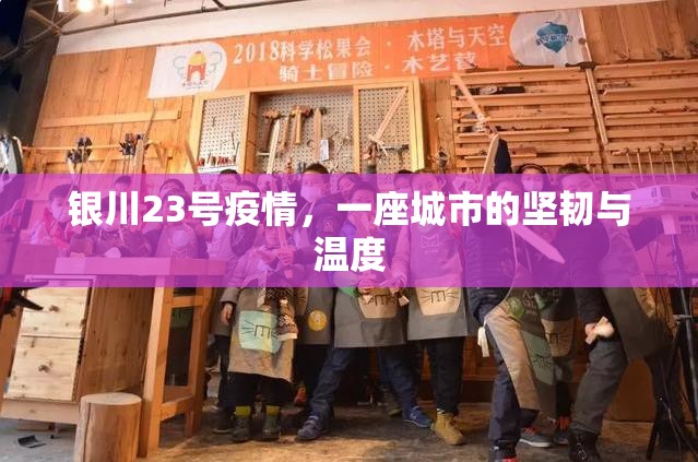 银川23号疫情，一座城市的坚韧与温度