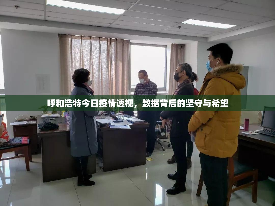 呼和浩特今日疫情透视，数据背后的坚守与希望