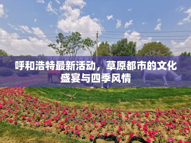呼和浩特最新活动，草原都市的文化盛宴与四季风情