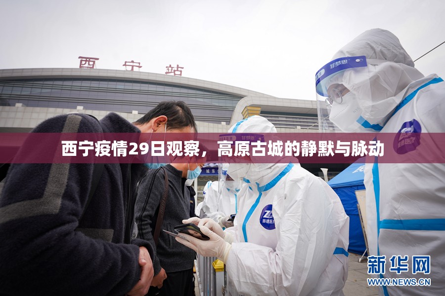 西宁疫情29日观察，高原古城的静默与脉动