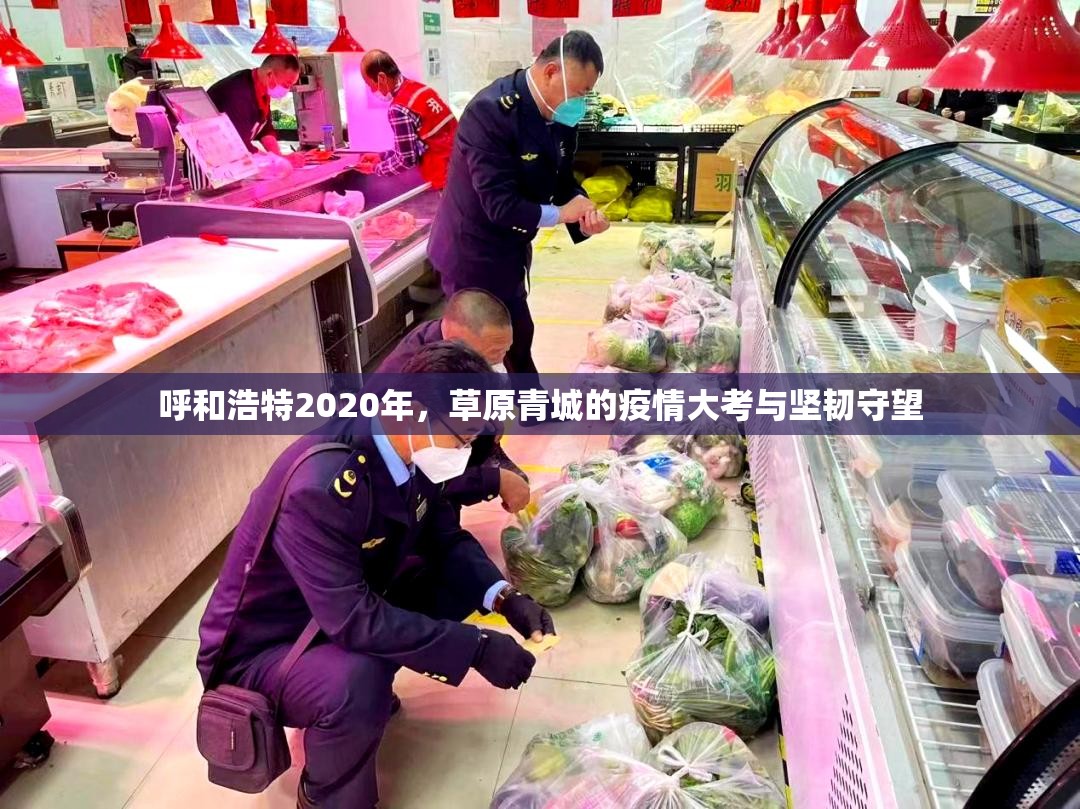 呼和浩特2020年，草原青城的疫情大考与坚韧守望