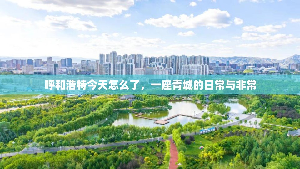 呼和浩特今天怎么了，一座青城的日常与非常