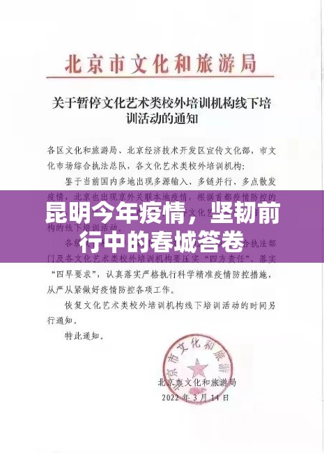 昆明今年疫情，坚韧前行中的春城答卷
