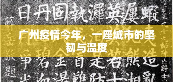 广州疫情今年，一座城市的坚韧与温度