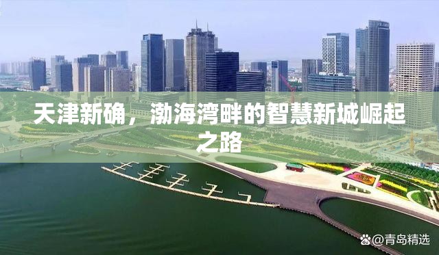 天津新确，渤海湾畔的智慧新城崛起之路