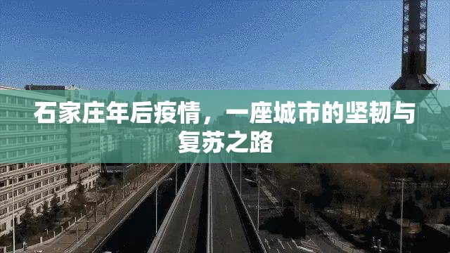 石家庄年后疫情，一座城市的坚韧与复苏之路