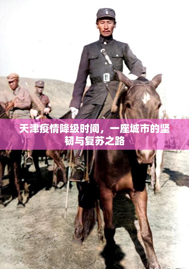 天津疫情降级时间，一座城市的坚韧与复苏之路