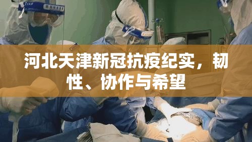 河北天津新冠抗疫纪实，韧性、协作与希望