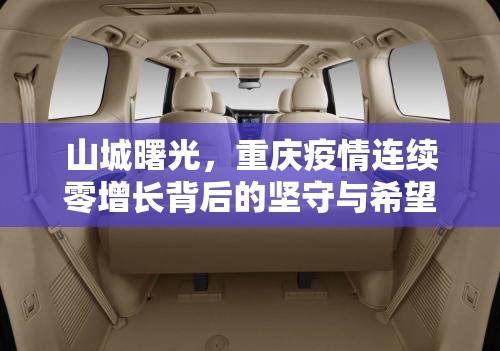 山城曙光，重庆疫情连续零增长背后的坚守与希望
