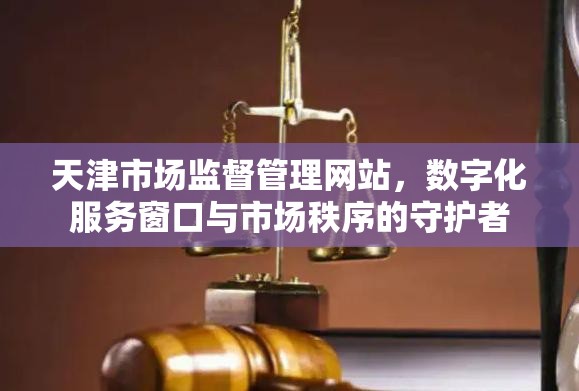 天津市场监督管理网站，数字化服务窗口与市场秩序的守护者