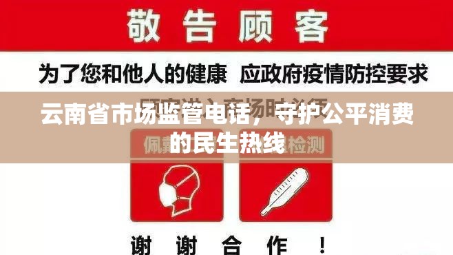 云南省市场监管电话，守护公平消费的民生热线