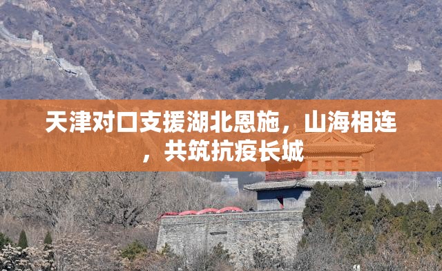 天津对口支援湖北恩施，山海相连，共筑抗疫长城