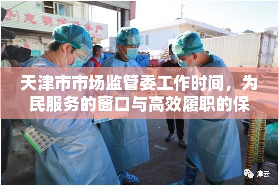 天津市市场监管委工作时间，为民服务的窗口与高效履职的保障