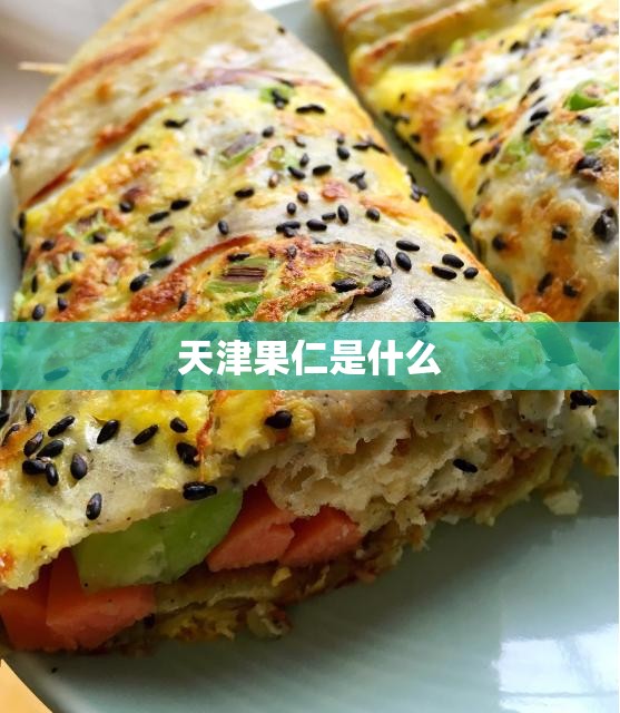天津果仁是什么