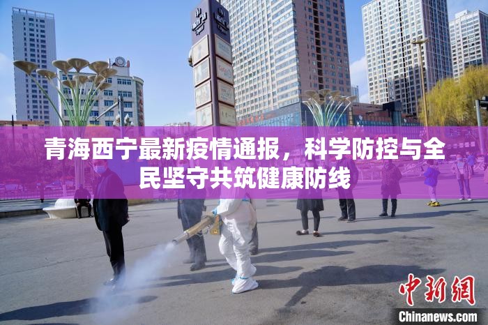 青海西宁最新疫情通报，科学防控与全民坚守共筑健康防线