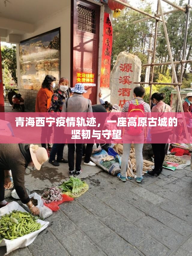 青海西宁疫情轨迹，一座高原古城的坚韧与守望