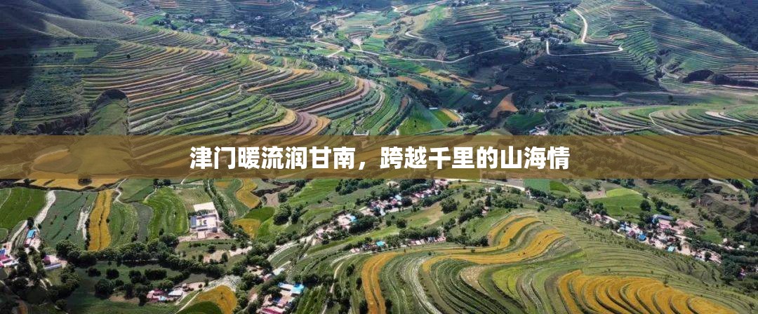 津门暖流润甘南，跨越千里的山海情