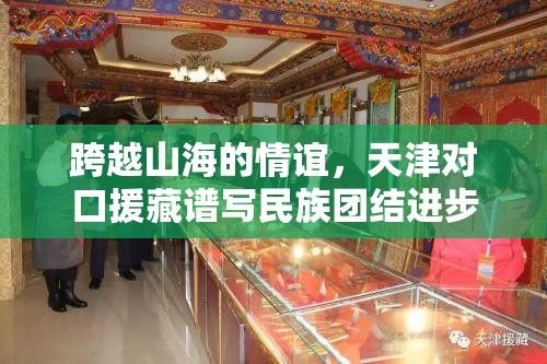 跨越山海的情谊，天津对口援藏谱写民族团结进步新篇章