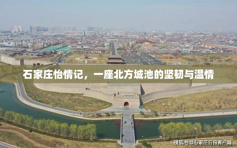 石家庄怡情记，一座北方城池的坚韧与温情