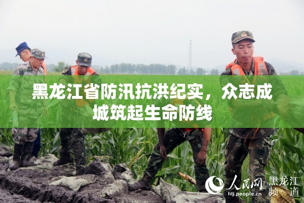 黑龙江省防汛抗洪纪实，众志成城筑起生命防线