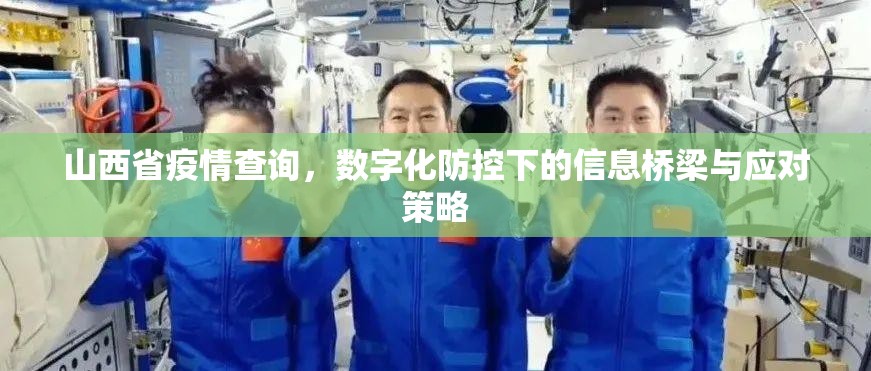 山西省疫情查询，数字化防控下的信息桥梁与应对策略
