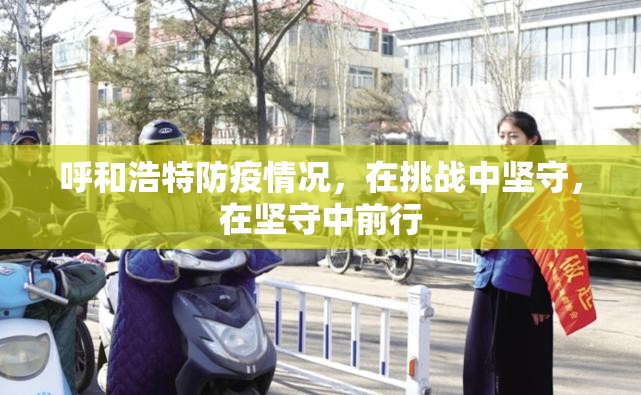 呼和浩特防疫情况，在挑战中坚守，在坚守中前行