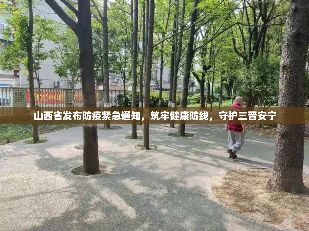 山西省发布防疫紧急通知，筑牢健康防线，守护三晋安宁