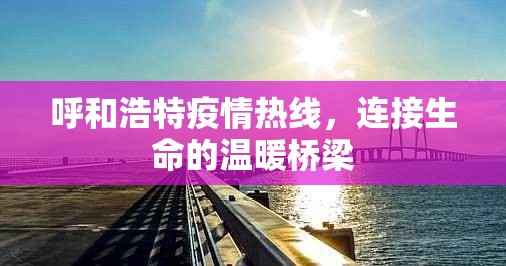 呼和浩特疫情热线，连接生命的温暖桥梁