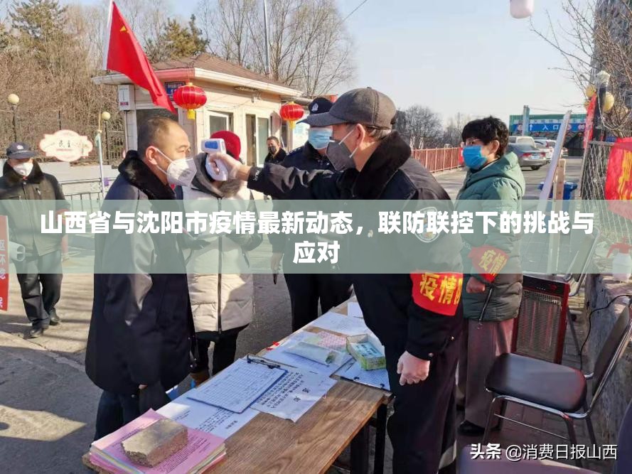 山西省与沈阳市疫情最新动态，联防联控下的挑战与应对