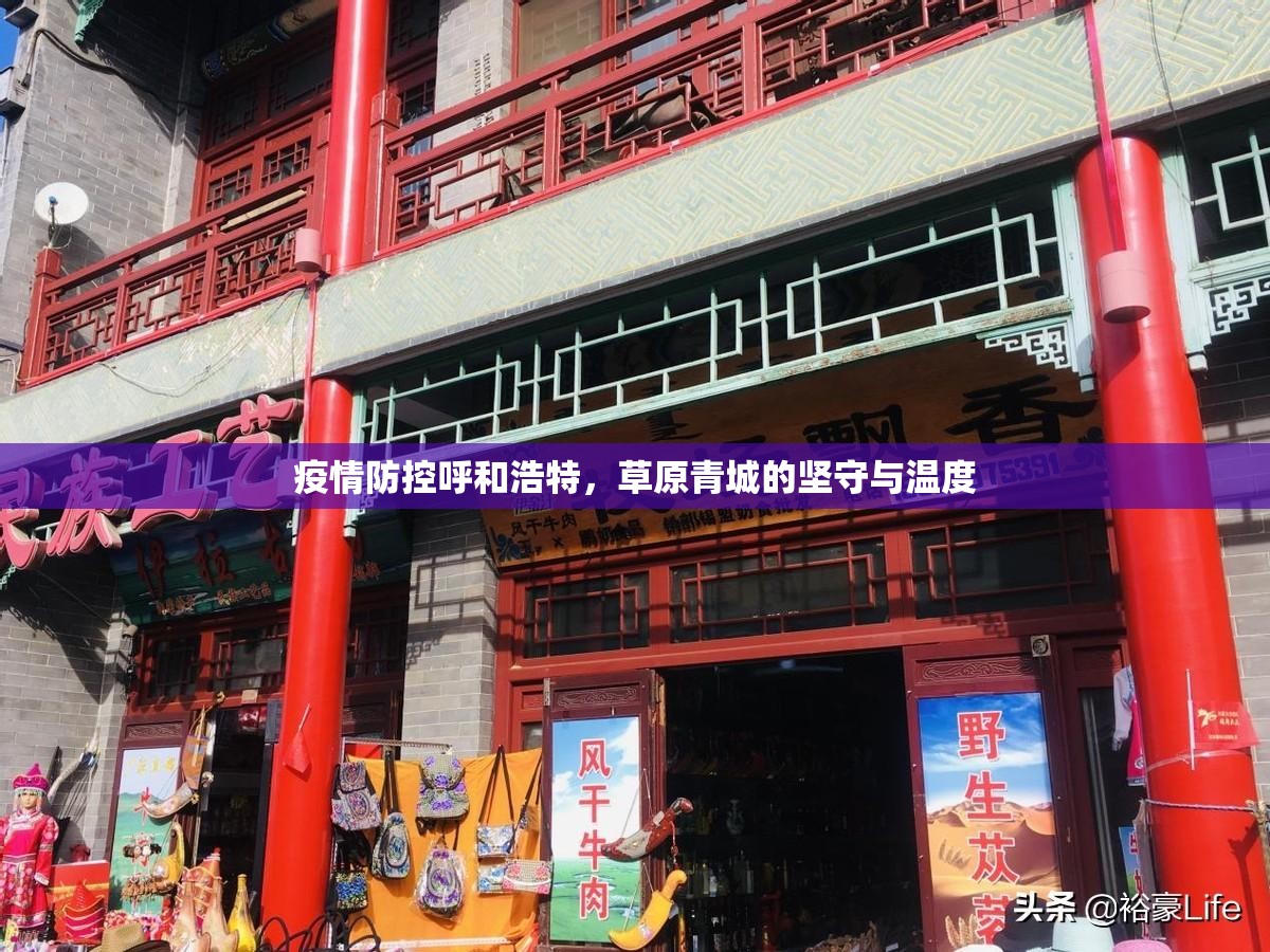 疫情防控呼和浩特，草原青城的坚守与温度