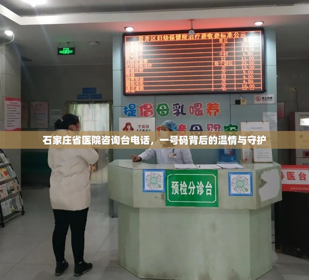 石家庄省医院咨询台电话，一号码背后的温情与守护