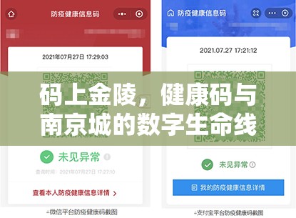 码上金陵，健康码与南京城的数字生命线