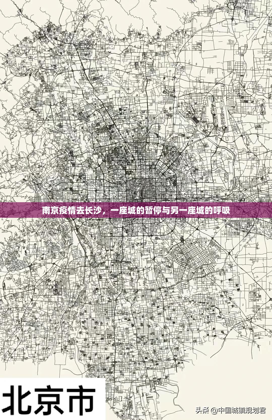 南京疫情去长沙，一座城的暂停与另一座城的呼吸