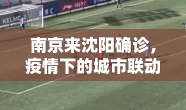 南京来沈阳确诊，疫情下的城市联动与防控思考