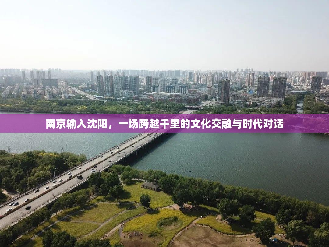 南京输入沈阳，一场跨越千里的文化交融与时代对话