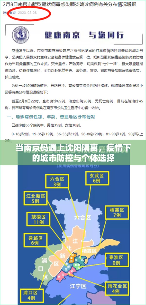 当南京码遇上沈阳隔离，疫情下的城市防控与个体选择