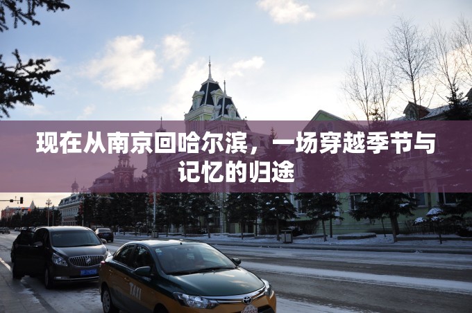 现在从南京回哈尔滨，一场穿越季节与记忆的归途