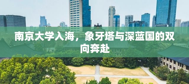 南京大学入海，象牙塔与深蓝国的双向奔赴