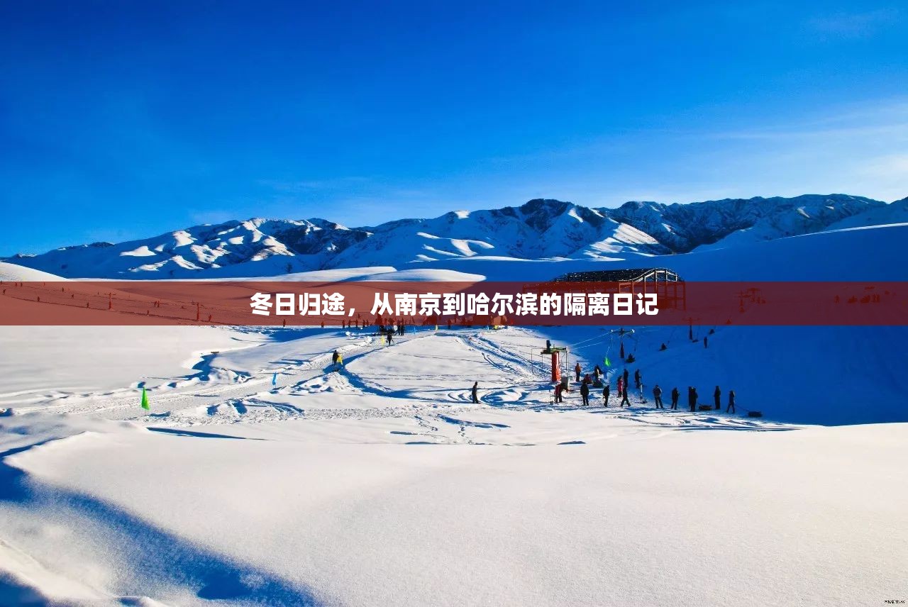 冬日归途，从南京到哈尔滨的隔离日记