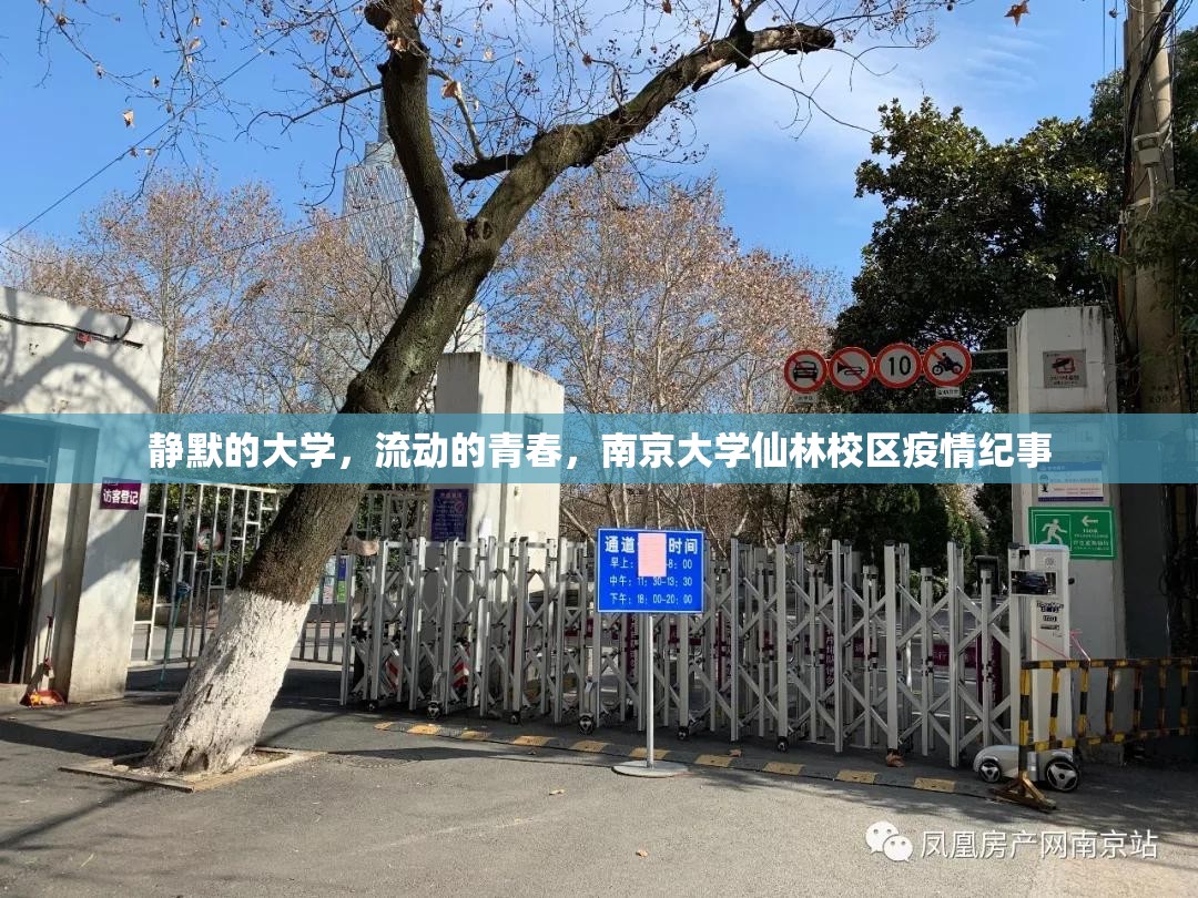 静默的大学，流动的青春，南京大学仙林校区疫情纪事