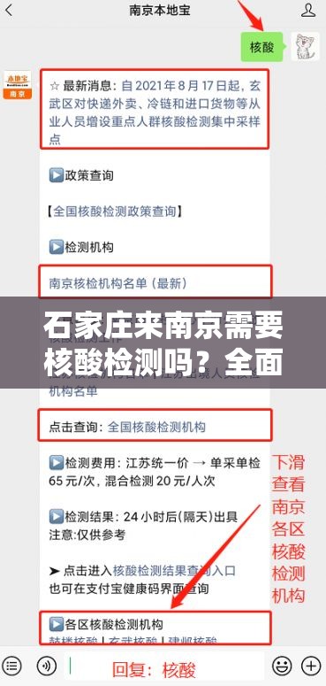 石家庄来南京需要核酸检测吗？全面解析最新政策与出行指南