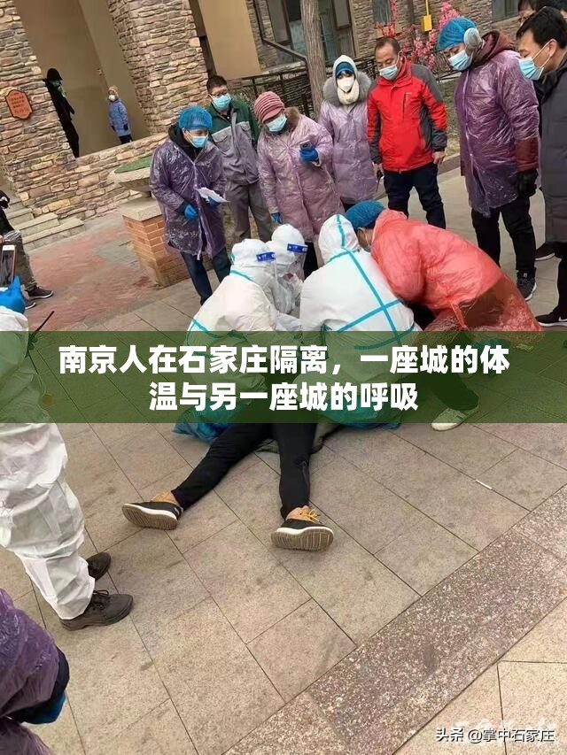 南京人在石家庄隔离，一座城的体温与另一座城的呼吸