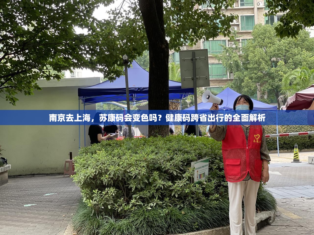 南京去上海，苏康码会变色吗？健康码跨省出行的全面解析