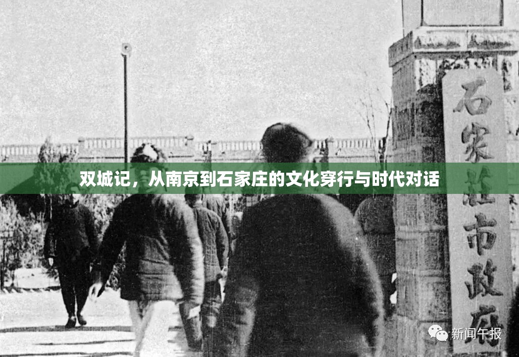 双城记，从南京到石家庄的文化穿行与时代对话