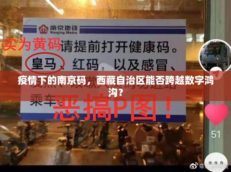 疫情下的南京码，西藏自治区能否跨越数字鸿沟？