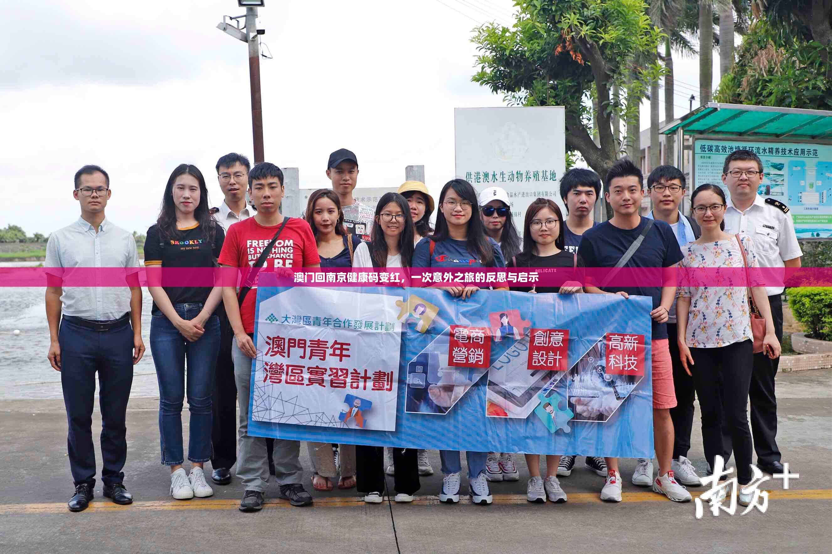 澳门回南京健康码变红，一次意外之旅的反思与启示