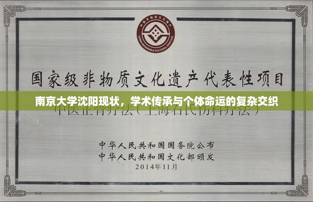 南京大学沈阳现状，学术传承与个体命运的复杂交织